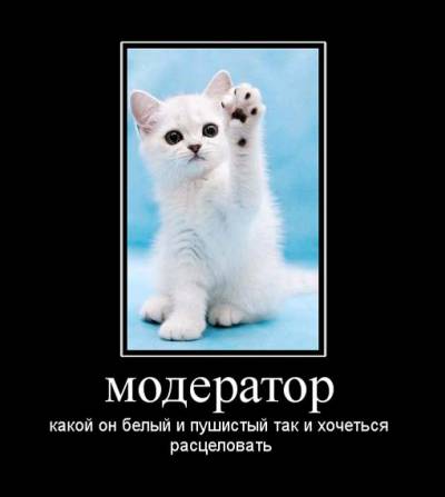 модер.jpeg